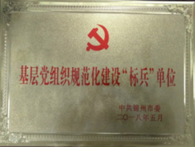 榮獲省級規(guī)范化建設(shè)標(biāo)兵單位